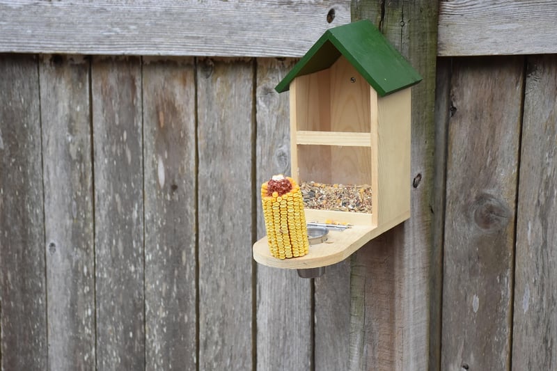 Pinecone Bird Feeders